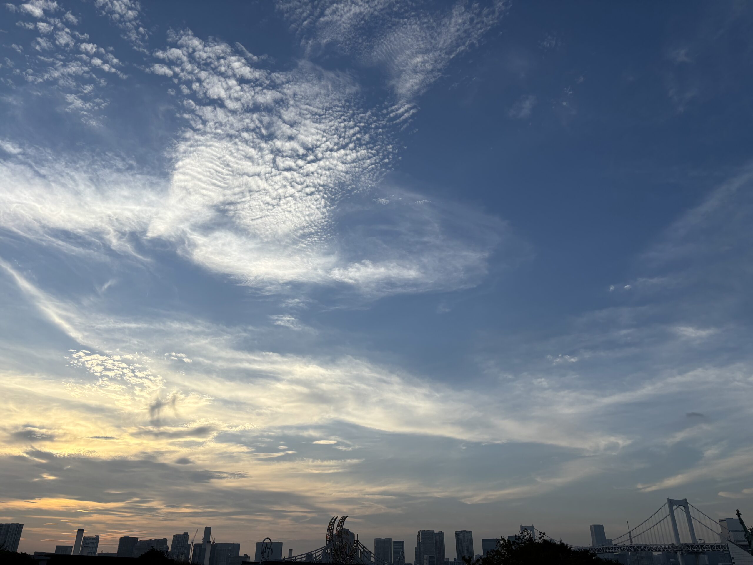 体の内外からの<br class="sp">美しさをサポート